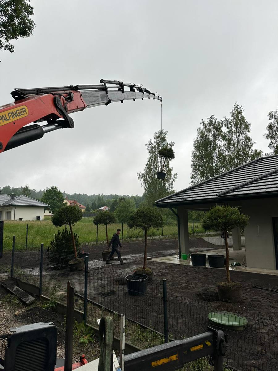 HDS podaje drzewka na ogród klienta